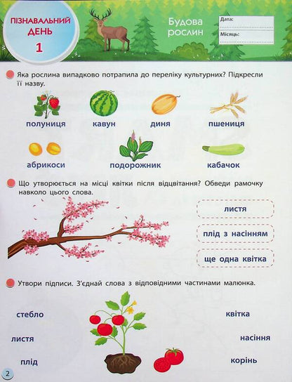 SMARTsummer. I go to the 3rd grade / SMARTліто. Іду у 3 клас  978-617-09-8691-7-4