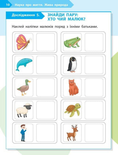 STEM-Start. Notebook For A Student. Science Of Life. 1St Class / STEM-Старт. Зошит для учня. Наука про життя. 1 клас Elena Dubovyk, Oksana Onoprienko, Iryna Potapenko / Елена Дубовик, Оксана Оноприенко, Ирина Потапенко 9786170995483-5