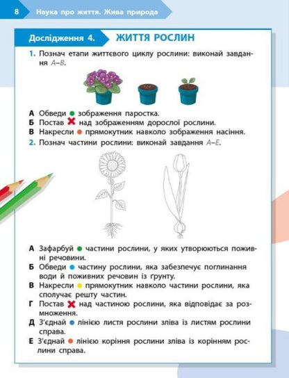 STEM-Start. Notebook For A Student. Science Of Life. 3Rd Grade / STEM-Старт. Зошит для учня. Наука про життя. 3 клас Elena Dubovyk, Oksana Onoprienko, Iryna Potapenko / Елена Дубовик, Оксана Оноприенко, Ирина Потапенко 9786170995506-3