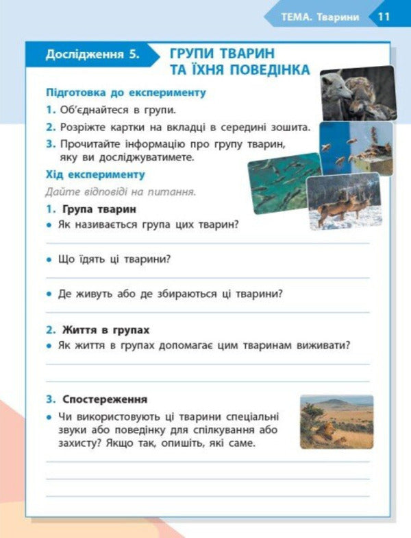 STEM-Start. Notebook For A Student. Science Of Life. 4Th Grade - STEM-Старт. Зошит для учня. Наука про життя. 4 клас Elena Dubovyk, Oksana Onoprienko, Iryna Potapenko - Елена Дубовик, Оксана Оноприенко, Ирина Потапенко 9786170995513-6