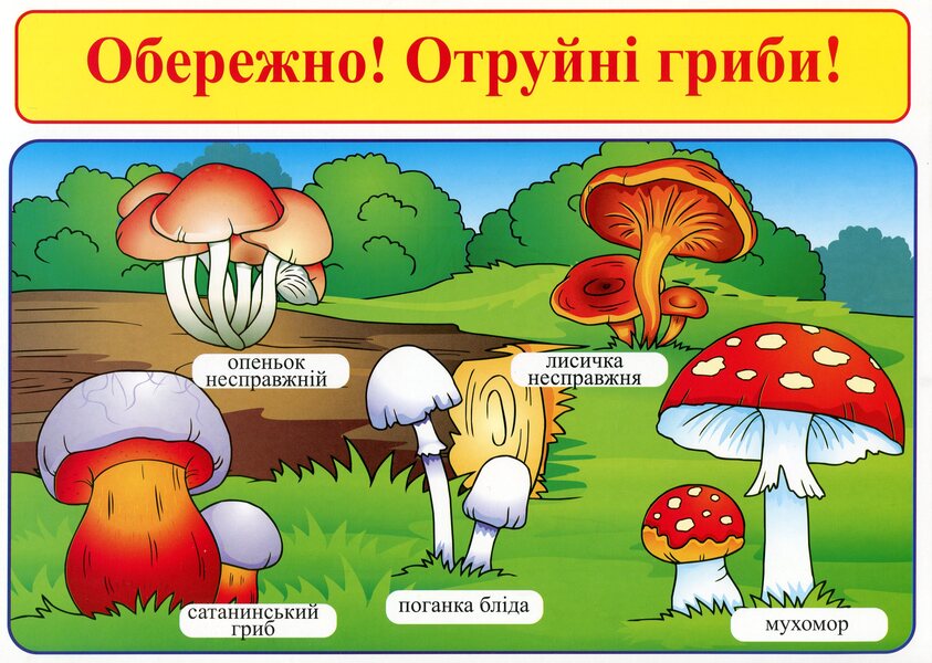 Safety rules when using gas and water, prevention of poisoning / Правила безпеки при користуванні газом та на воді, запобігання отруєнням Валентина Крипак, Наталья Жаркова, Виктория Бойченко -5