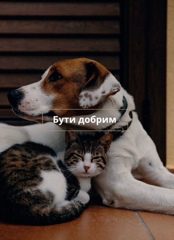 Salt and life / Сіль і життя Рэнди Маршал 978-966-938-498-0-4