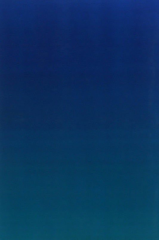 Samples of procedural documents in criminal proceedings. Applications, complaints, petitions, appeals / Зразки процесуальних документів у кримінальному провадженні. Заяви, скарги, клопотання, відозви  978-611-01-2055-5-2