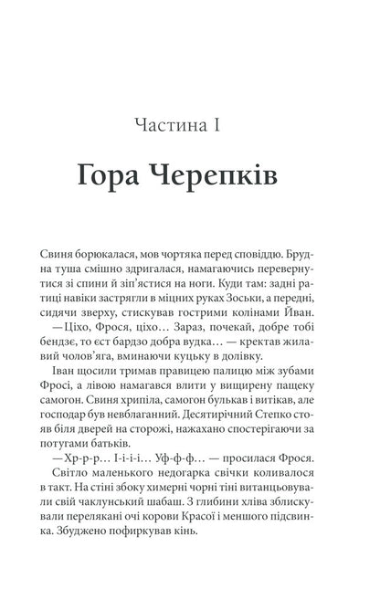 SchismaticChildren of Cain / Схизматик. Діти Каїна Татьяна Пахомова 978-617-12-8460-9-6