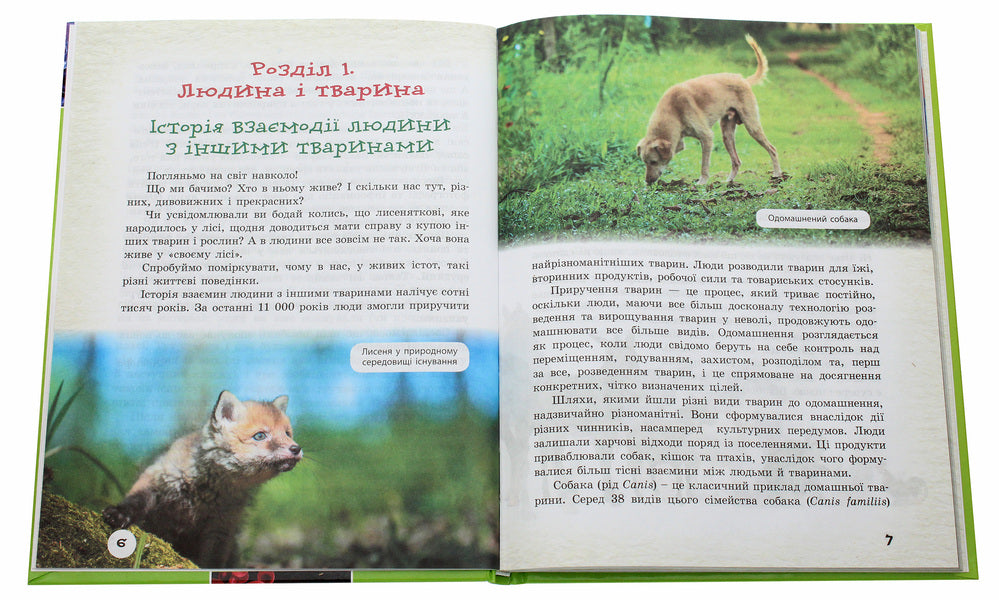School library. Animals around us. Guide for 7th grade / Шкільна бібліотека. Тварини навколо нас. Посібник для 7 класу Светлана Огиенко, Роман Трохимчук 978-617-09-6736-7-4
