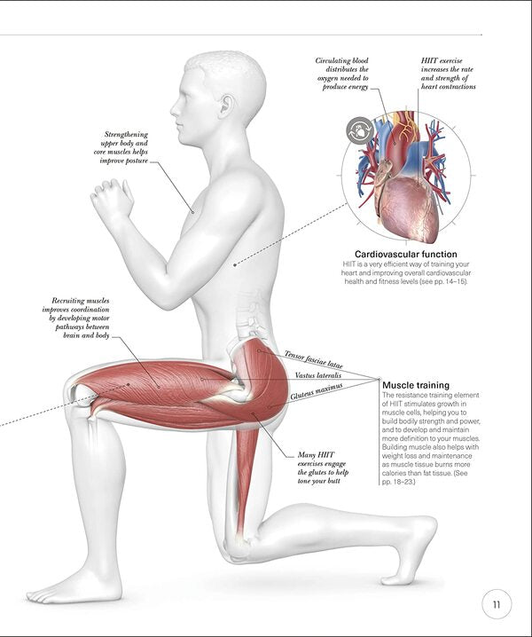 Science Of Hiit. Understand The Anatomy And Physiology To Transform Your Body Ingrid S. Clay / Ингрид С. Клей 9780241536407-6