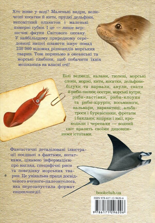 Sea animals of the world. Notes, drawings and observations about animals that live in the ocean / Морські тварини світу. Нотатки, малюнки та спостереження про тварин, що живуть в океані Хуан Карлос Алонсо 978-617-12-9620-6-2