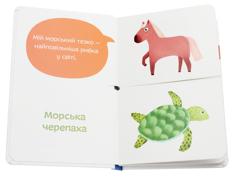 Sea namesakes / Морські тезки Александра Орлова 978-966-97915-6-6-4