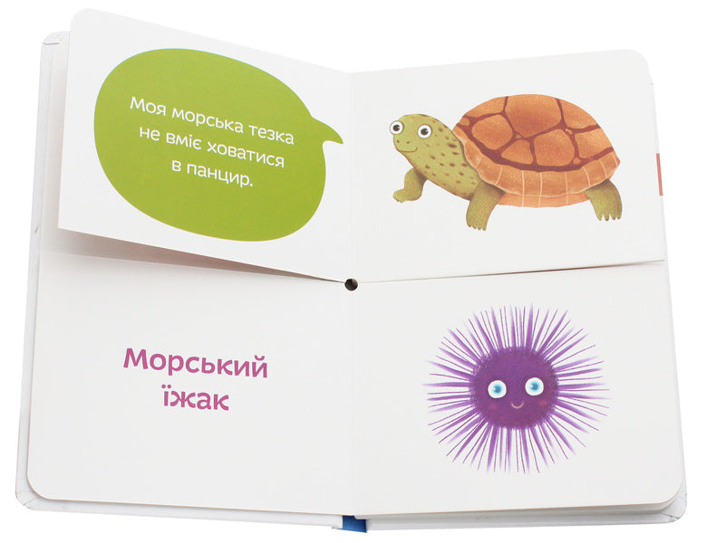 Sea namesakes / Морські тезки Александра Орлова 978-966-97915-6-6-5