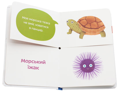 Sea namesakes / Морські тезки Александра Орлова 978-966-97915-6-6-5