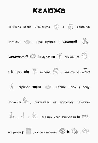 Search, Glue, Read. Forest Adventures (+ Stickers) / Шукай, клей, читай. Лісові пригоди (+ наліпки) / Author not specified 9789667493097-4