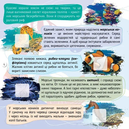 Seas, Oceans And Their Inhabitants / Моря, океани та їхні мешканці Ekaterina Shapovalova / Екатерина Шаповалова 9789669892720-2