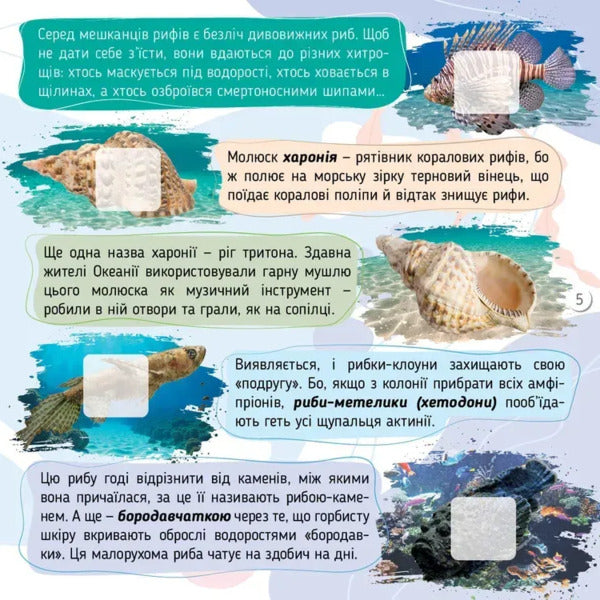 Seas, Oceans And Their Inhabitants / Моря, океани та їхні мешканці Ekaterina Shapovalova / Екатерина Шаповалова 9789669892720-3