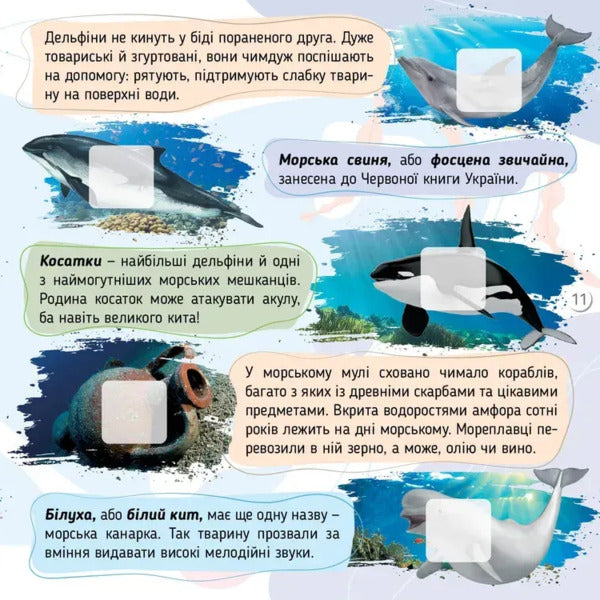Seas, Oceans And Their Inhabitants / Моря, океани та їхні мешканці Ekaterina Shapovalova / Екатерина Шаповалова 9789669892720-5