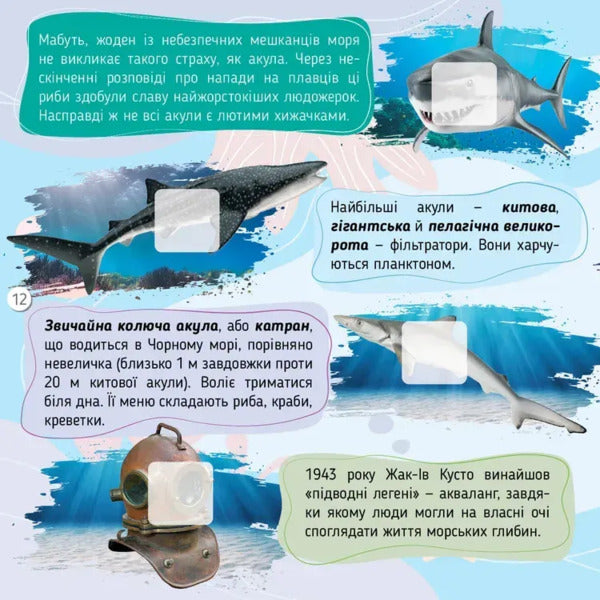Seas, Oceans And Their Inhabitants / Моря, океани та їхні мешканці Ekaterina Shapovalova / Екатерина Шаповалова 9789669892720-6