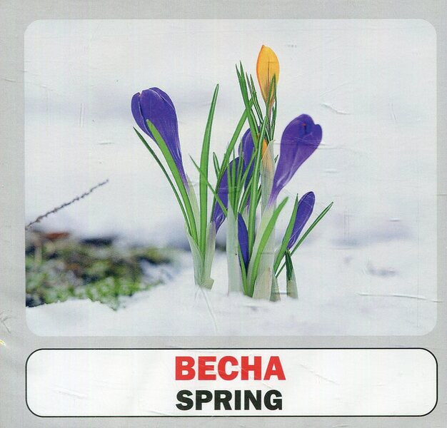 Season.Set Of Cards / Пори року. Набір карток / Author not specified 9786177360024-2