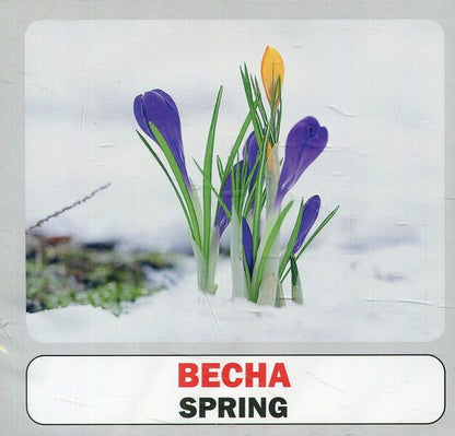 Season.Set Of Cards / Пори року. Набір карток / Author not specified 9786177360024-2