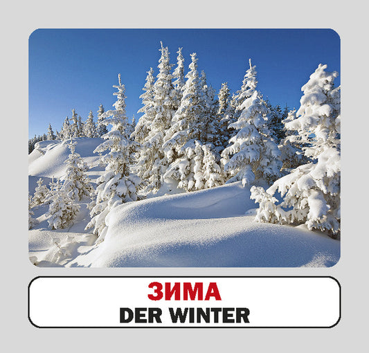 Seasons / Die Jahreszeiten. Set Of Cards / Пори року / Die Jahreszeiten. Набір карток / Author not specified 9786177360925-2