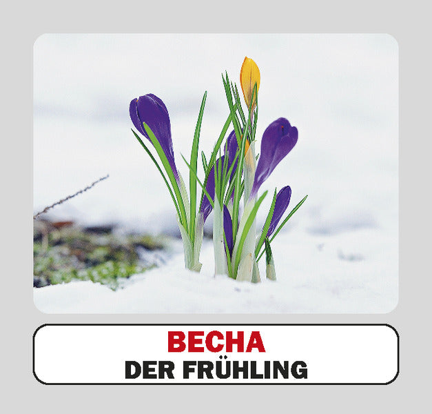 Seasons / Die Jahreszeiten. Set Of Cards / Пори року / Die Jahreszeiten. Набір карток / Author not specified 9786177360925-4