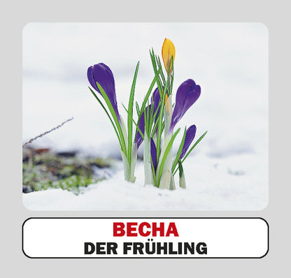 Seasons / Die Jahreszeiten. Set Of Cards / Пори року / Die Jahreszeiten. Набір карток / Author not specified 9786177360925-4