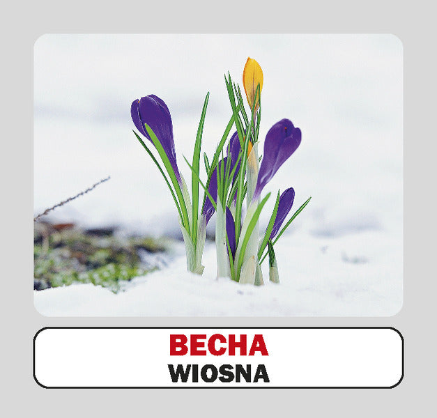 Seasons / Sezony. Set Of Cards / Пори року / Sezony. Набір карток / Author not specified 9786177686070-4