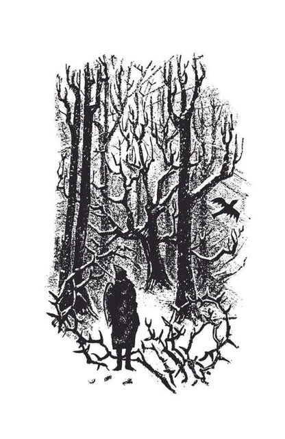 Secrets of the Wild Forest / Таємниці Дикого Лісу Тонке Драгт 978-617-7314-96-6-6