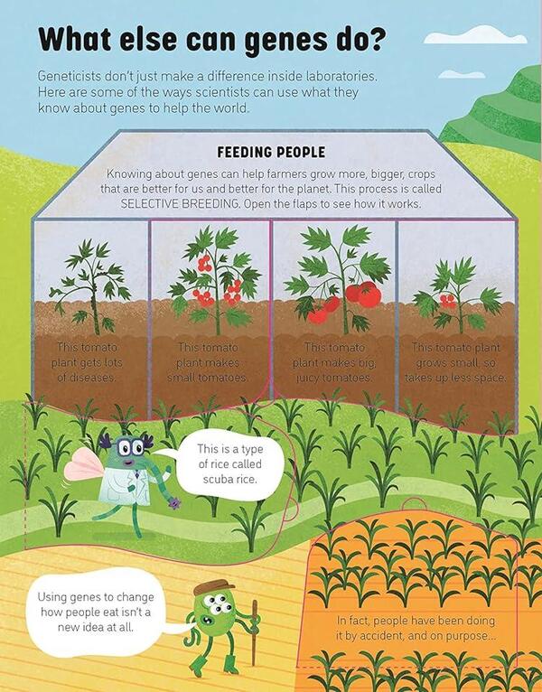 See Inside Genes and DNA / See Inside Genes and DNA Элис Джеймс 9781474943628-3