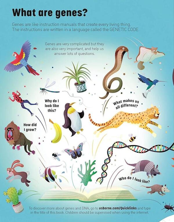 See Inside Genes and DNA / See Inside Genes and DNA Элис Джеймс 9781474943628-5