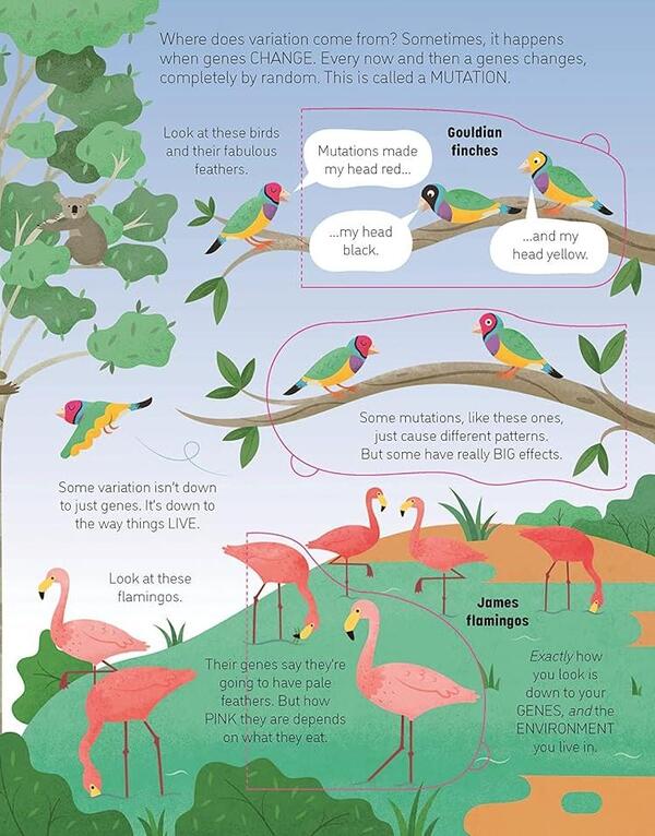 See Inside Genes and DNA / See Inside Genes and DNA Элис Джеймс 9781474943628-6