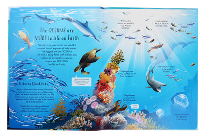 See Inside Oceans / See Inside Oceans Эмили Боун 978-1-4749-6891-1-4