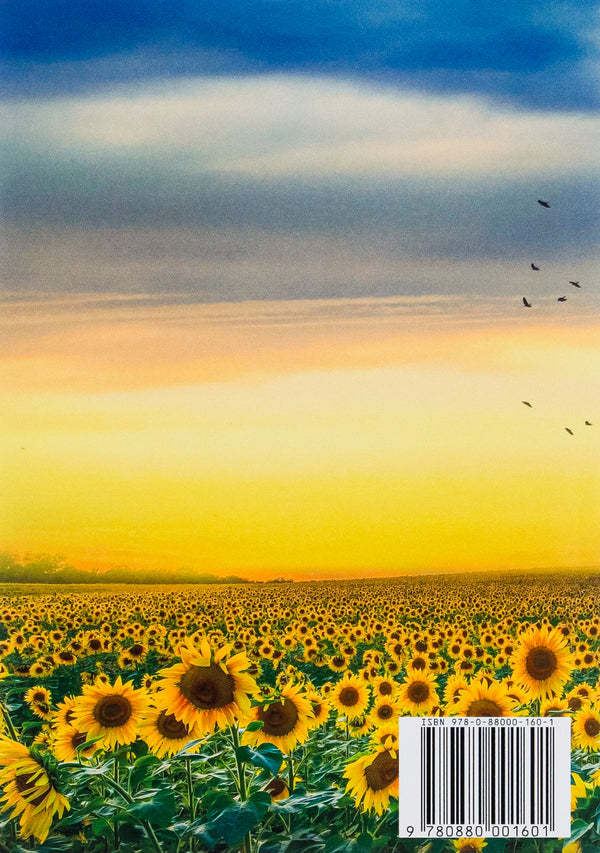 Selected works. Fedko-halamidnyk. Moment. Notes of the curly-haired Mephistopheles / Вибрані твори. Федько-халамидник. Момент. Записки Кирпатого Мефістофеля Владимир Винниченко 978-088-0001-60-1-2