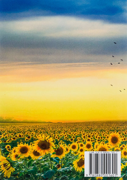 Selected works. Fedko-halamidnyk. Moment. Notes of the curly-haired Mephistopheles / Вибрані твори. Федько-халамидник. Момент. Записки Кирпатого Мефістофеля Владимир Винниченко 978-088-0001-60-1-2