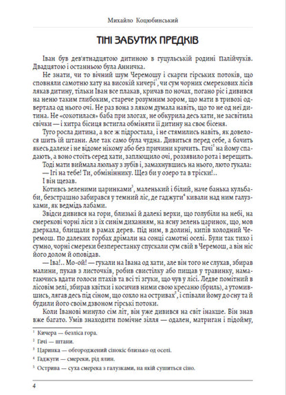 Selected works. Shadows of Forgotten Ancestors. Fata Morgana / Вибрані твори. Тіні забутих предків. Fata Morgana Михаил Коцюбинский 978-198-1504-04-6-3