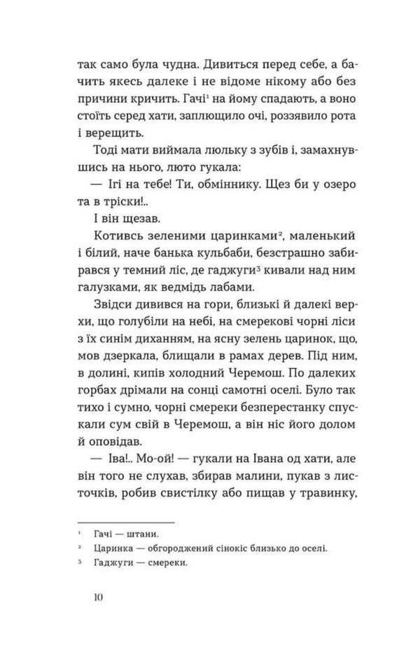 Shadows Of Forgotten Ancestors - Тн забутих предкв Mikhail Kotsyubynskyi - Михайло Коцюбинський 9786178782047-6