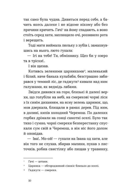Shadows Of Forgotten Ancestors - Тн забутих предкв Mikhail Kotsyubynskyi - Михайло Коцюбинський 9786178782047-6