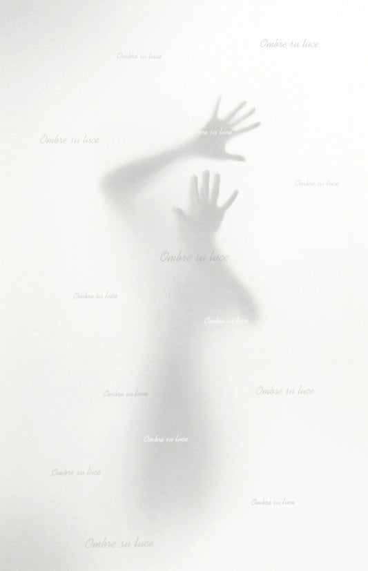 Shadows in the light / Тіні на світлі Галина Галагдина 978-617-7827-07-7-2