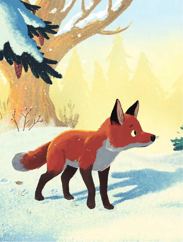 Shaggy Miracle / Кудлате диво Katya Ryder / Катя Райдер 9789661090346-2