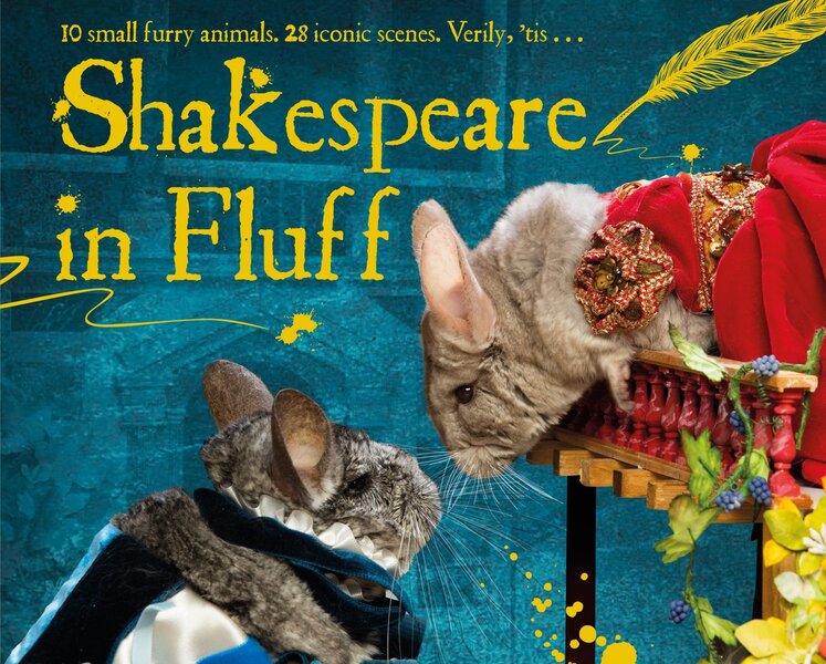 Shakespeare in Fluff / Shakespeare in Fluff  9780752266237-1