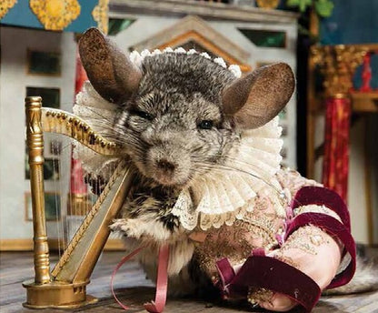 Shakespeare in Fluff / Shakespeare in Fluff  9780752266237-3