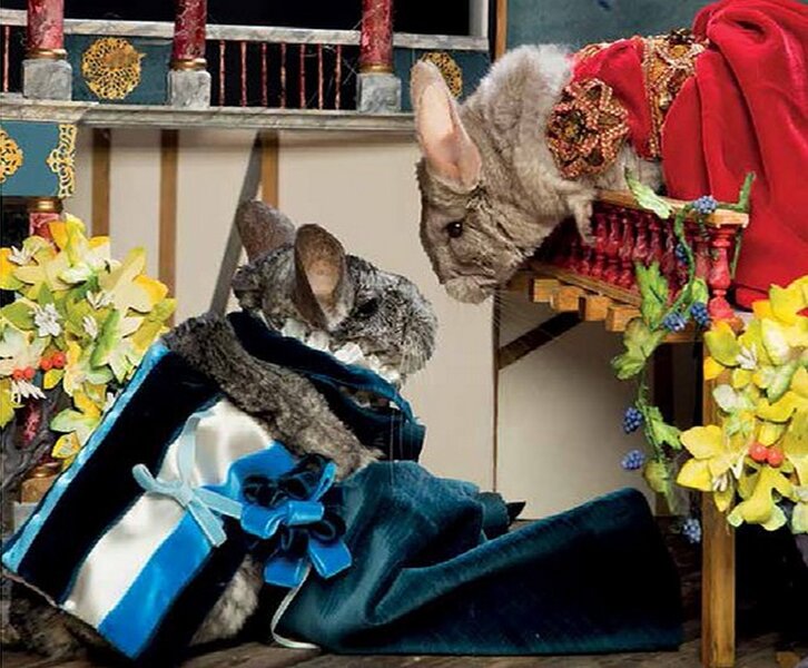 Shakespeare in Fluff / Shakespeare in Fluff  9780752266237-5