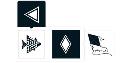 Shapes / Shapes  9781911689034-3