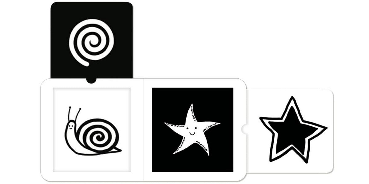 Shapes / Shapes  9781911689034-4