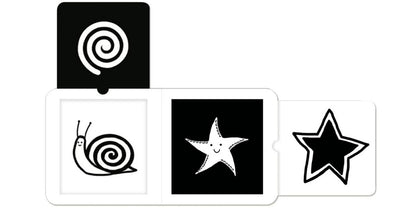 Shapes / Shapes  9781911689034-4