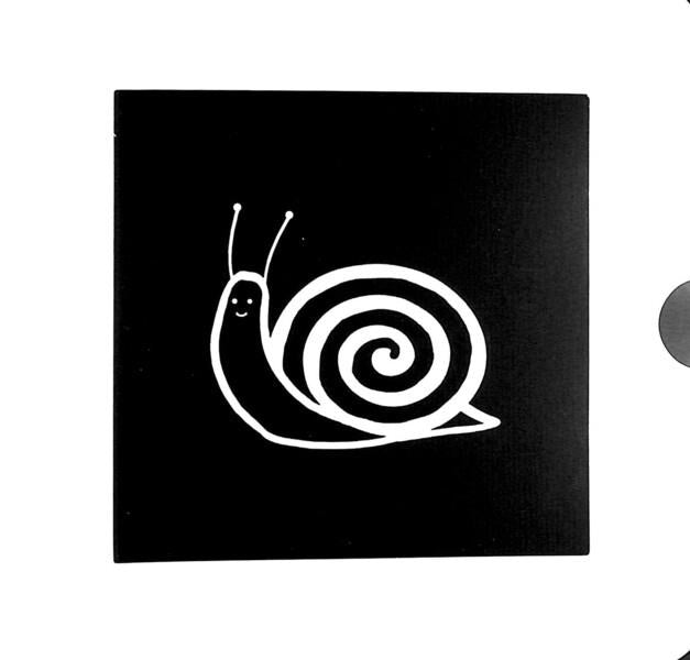 Shapes / Shapes  9781911689034-5