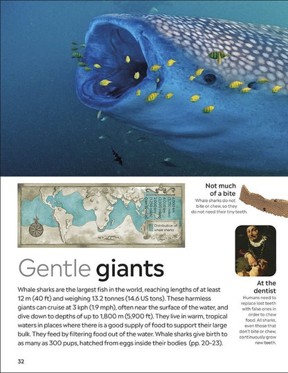Shark / Author not specified 9780241553039-5