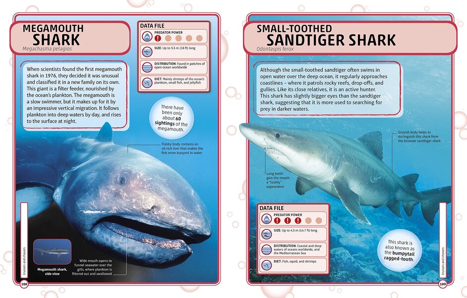 Sharks and Other Deadly Ocean Creatures. Visual Encyclopedia / Sharks and Other Deadly Ocean Creatures. Visual Encyclopedia  9780241241363-3
