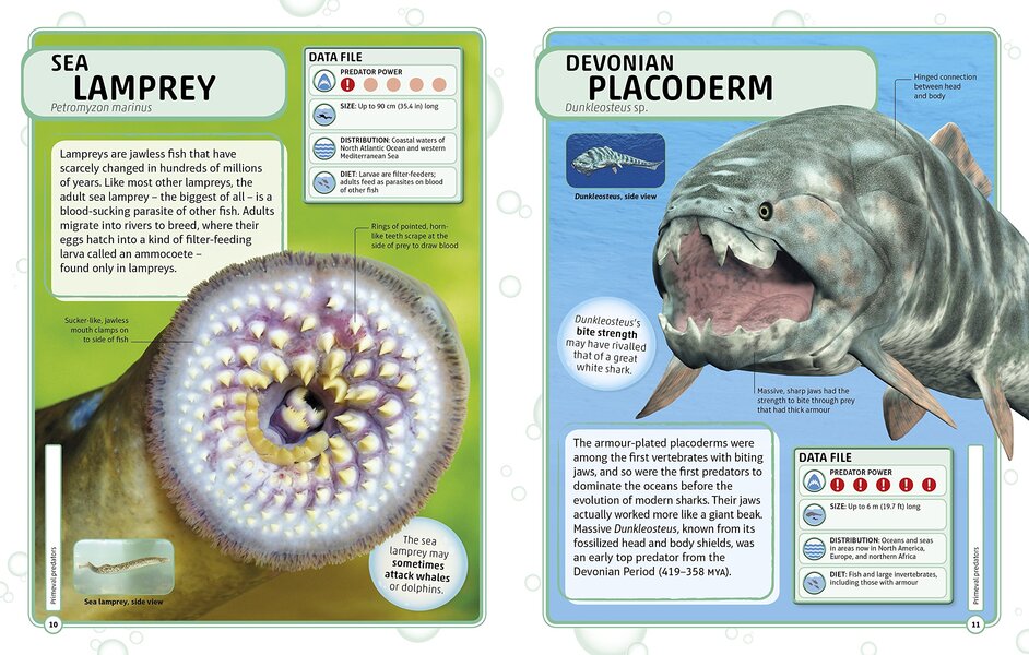 Sharks and Other Deadly Ocean Creatures. Visual Encyclopedia / Sharks and Other Deadly Ocean Creatures. Visual Encyclopedia  9780241241363-4