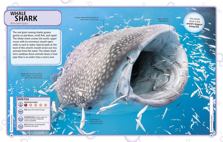 Sharks and Other Deadly Ocean Creatures. Visual Encyclopedia / Sharks and Other Deadly Ocean Creatures. Visual Encyclopedia  9780241241363-5