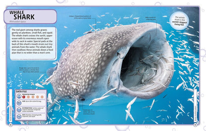 Sharks and Other Deadly Ocean Creatures. Visual Encyclopedia / Sharks and Other Deadly Ocean Creatures. Visual Encyclopedia  9780241241363-5
