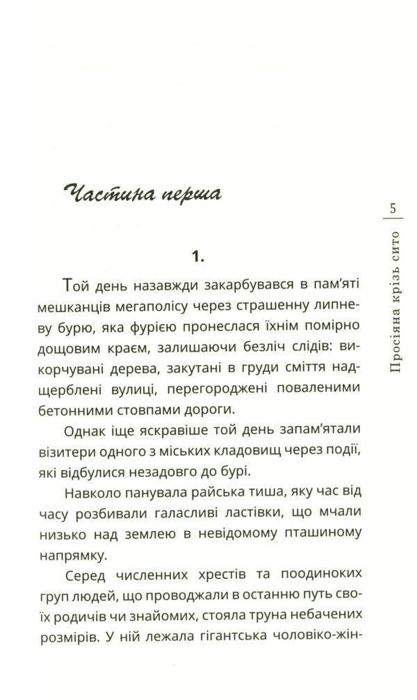 Sifted through a sieve / Просіяна крізь сито Ирина Василенко 978-966-136-818-6-5